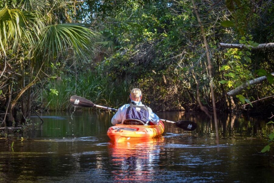 Everglades City: Guided Kayaking Tour with and Airboat Ride - An In-Depth Look at the Tour Experience