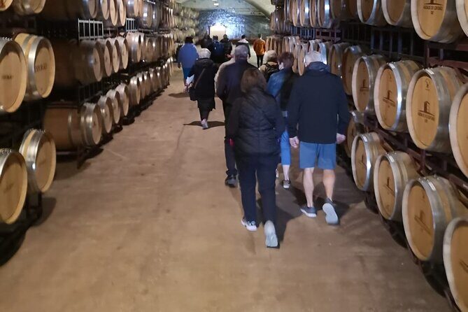Évora Private Tour - Cork Factory and Wine Estate Included - The Sum Up: Is This Tour for You?