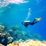 Fethiye Scuba Diving with Transfer, 2 Dives and Lunch - The Details That Make This Tour Stand Out