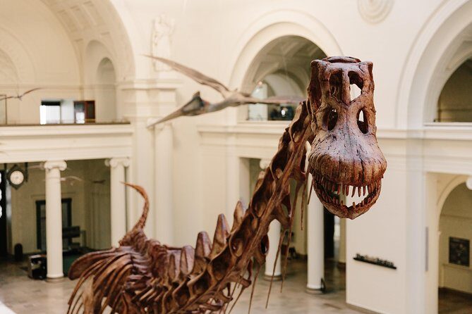 Field Museum of Natural History All-Access Pass - The Sum Up