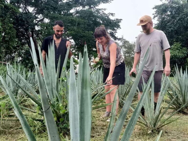 Finca 18 Tequila Tour w/ Chocolate Pairing + Pickup Point - Exploring the Itinerary: What to Expect