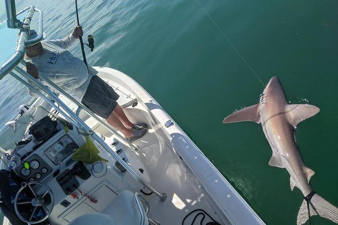 Fishing Charters - Fort Myers Beach / Naples - The Sum Up