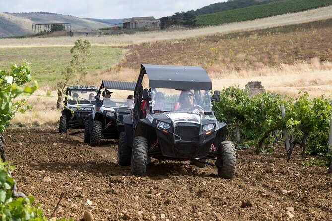 five sense outdoor experience - What Makes This Tour Stand Out?