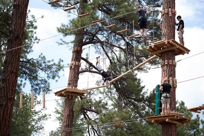 Flagstaff Extreme Adventure Course-Adult Course - What Makes This Adventure Special?