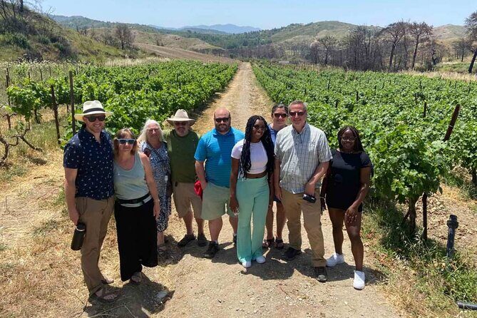 Food & Wine Tour: 11- Course Lunch, Cooking Class, Wine Tasting - Wine Tasting and the Family-Owned Vineyard