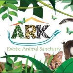Fox Encounter for 2 people and park entry - A Detailed Look at the Fox Encounter Tour