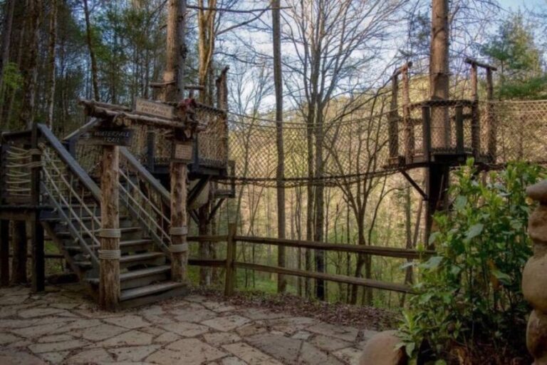 Foxfire Mountain: Hiking & Swinging Bridge Family Adventure - Detailed Day Itinerary and Highlights