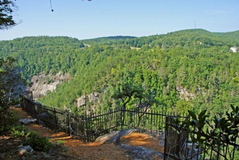From Atlanta: Tullulah Falls Slingshot Self Guided Tour - What’s Included and What’s Not
