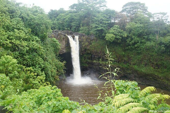 From Big island Hilo Private Shore Excursion and Waterfalls Tour - Who Will Love This Tour?