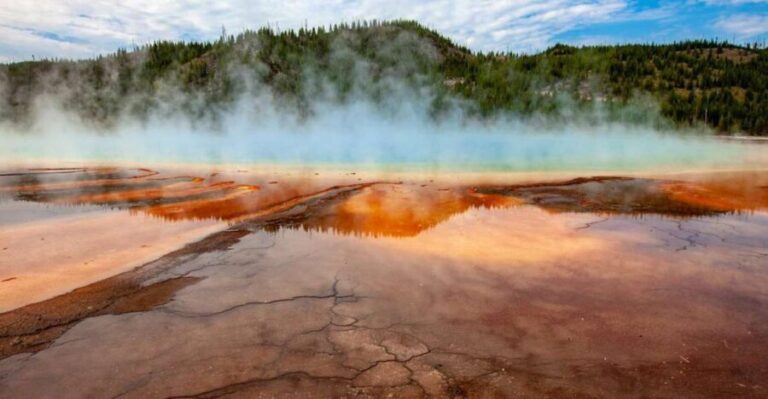 From Bozeman: Yellowstone Day Tour (Lower Loop) - Who Will Love This Tour?