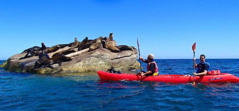 From Cabo: Cabo Pulmo Marine Park Snorkeling and Kayaking - Practical Details and What to Expect