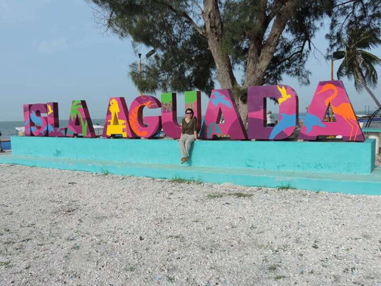 From Campeche: Isla Aguada Dolphin Encounter Tour - What to Expect on the Tour