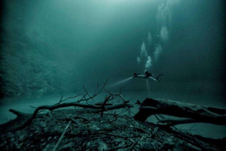 From Cancun: Angelita and Taj Ma Ha Cenote Diving Experience - The Itinerary: What to Expect on Tour