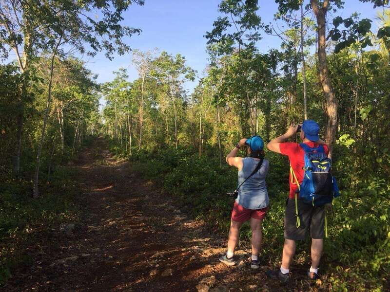 From Cancun: Bird Watching Day Tour - What Makes This Tour Stand Out