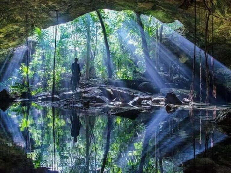 From Cancun: Dos Ojos Cenote Diving Experience - What to expect on the day