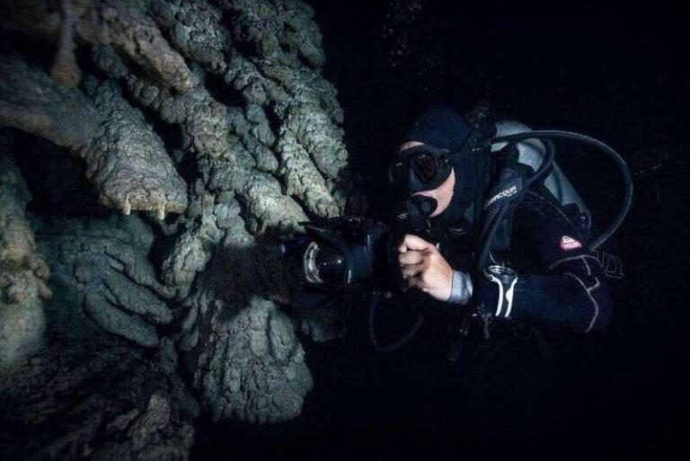 From Cancun: Fast Boat Cozumel Diving Experience - Is It Worth the Price?