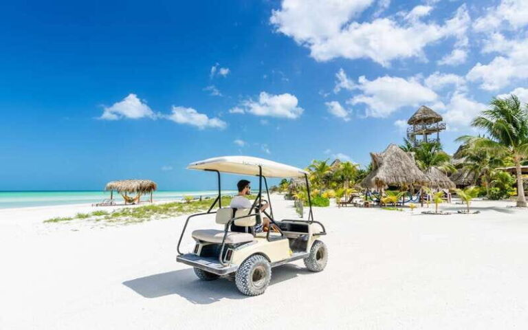 From Cancun: Guided Day Trip to Isla Holbox with Lunch - What We Love About This Tour