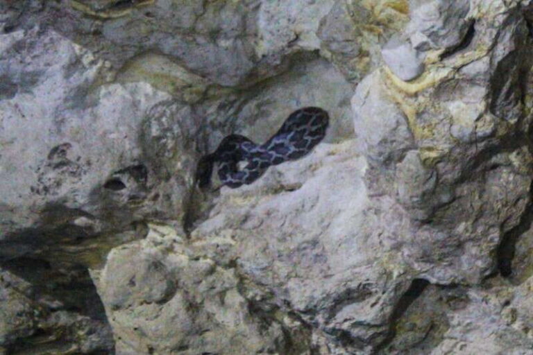 From Cancun: Kantemó Snake Cavern Adventure - Final Thoughts