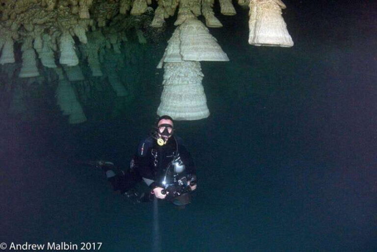 From Cancun: Kin Ha & Hell's Bells Cenote Diving Experience - Who Will Love This Tour?
