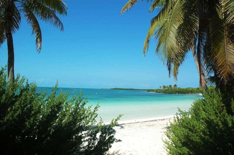 From Cancun or Riviera Maya: Isla Contoy & Mujeres Day Trip - Overview: What’s the Experience Like?