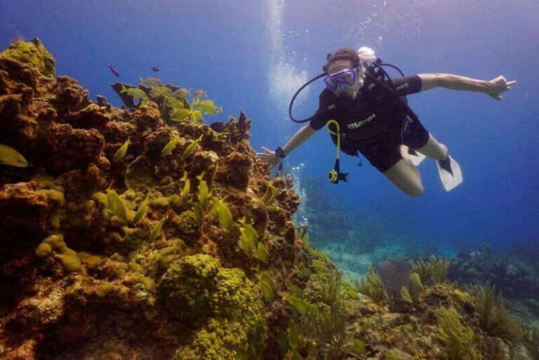 From Cancun: Puerto Morelos Diving Adventure - Exploring the Itinerary: What to Expect