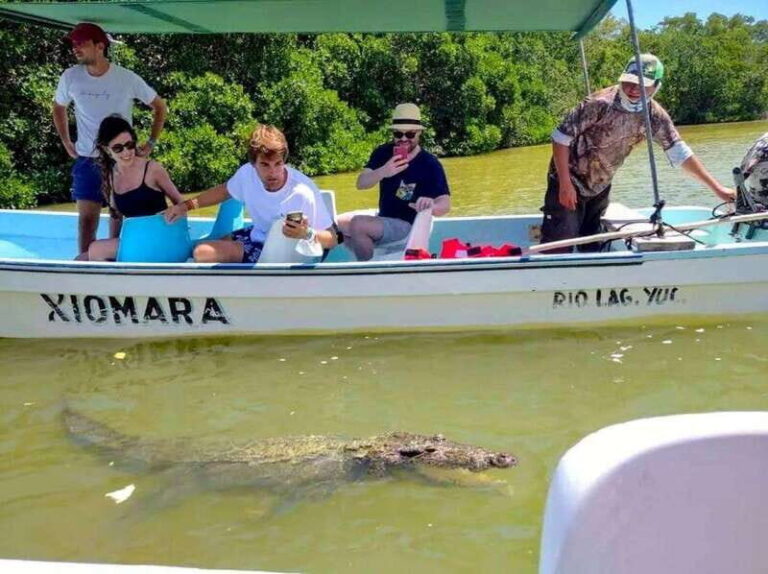 From Cancun: Rio Lagartos y Las Coloradas Tour - Transportation and Group Size