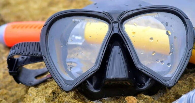 From Cancun: Snorkeling Cozumel Reefs - What We Love About This Tour