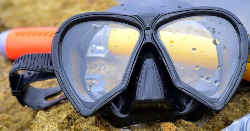 From Cancun: Snorkeling Cozumel Reefs - What We Love About This Tour