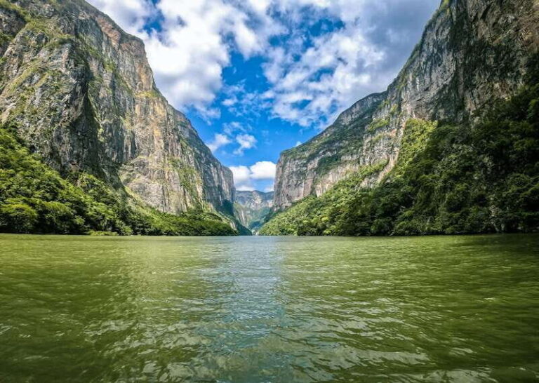 FROM CDMX: Puebla, Oaxaca, Veracruz, Chiapas 8 DAYS - Veracruz: Beaches, Forts, and a Lively Port