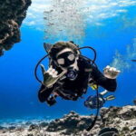From Cozumel: Double Tank Scuba Diving for Certified Divers - Why This Tour Is Worth Your While