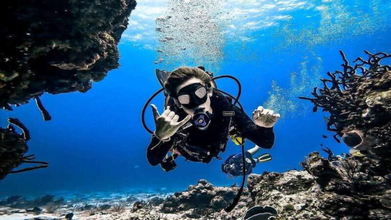 From Cozumel: Double Tank Scuba Diving for Certified Divers - Why This Tour Is Worth Your While