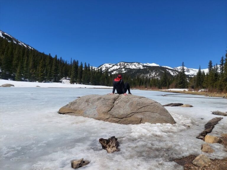 From Denver: Guided Hike in the Rockies - Value and Practical Considerations
