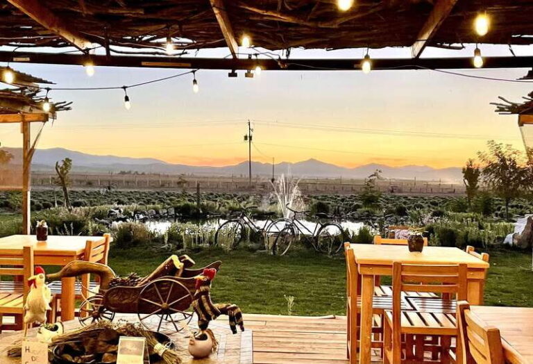 From Ensenada: Ojos Negros Valley Cheese & Wine Tasting Tour - The Itinerary in Detail