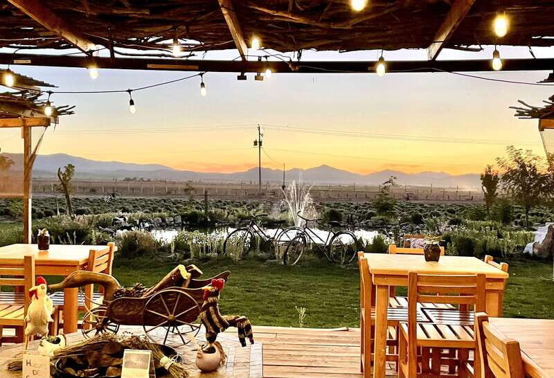 From Ensenada: Ojos Negros Valley Cheese & Wine Tasting Tour - The Itinerary in Detail
