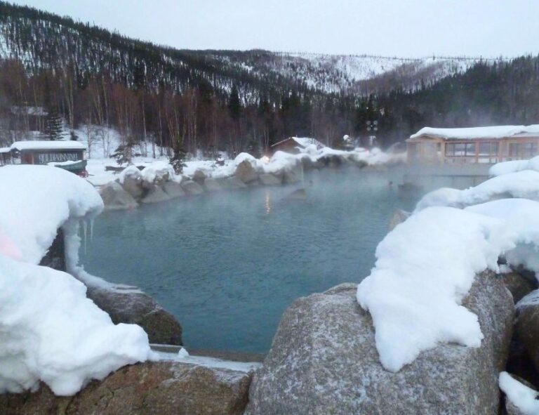 From Fairbanks: Chena Hot Springs Northern Lights Tour - Is It Worth the Price?
