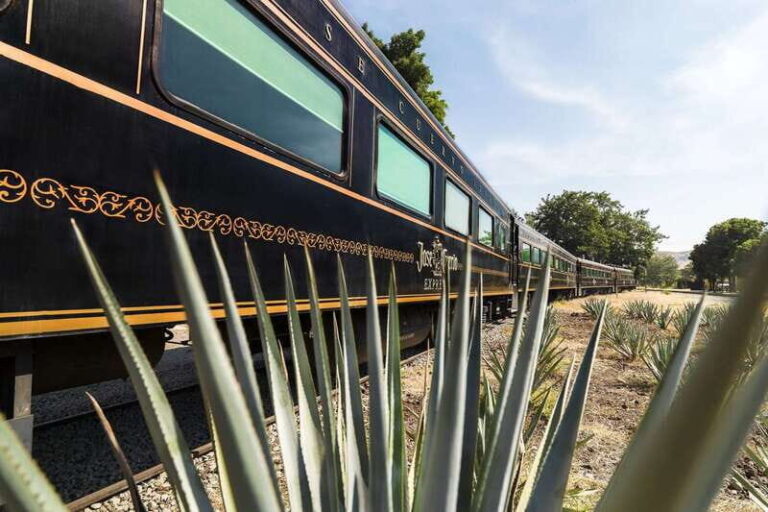 From Guadalajara: La Rojeña Distillery & Jose Cuervo Train - The Journey Begins: Guadalajara to Tequila