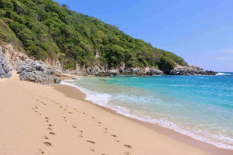 From Huatulco: Private 7 Bays Boat Tour - Why This Tour Is Worth Considering