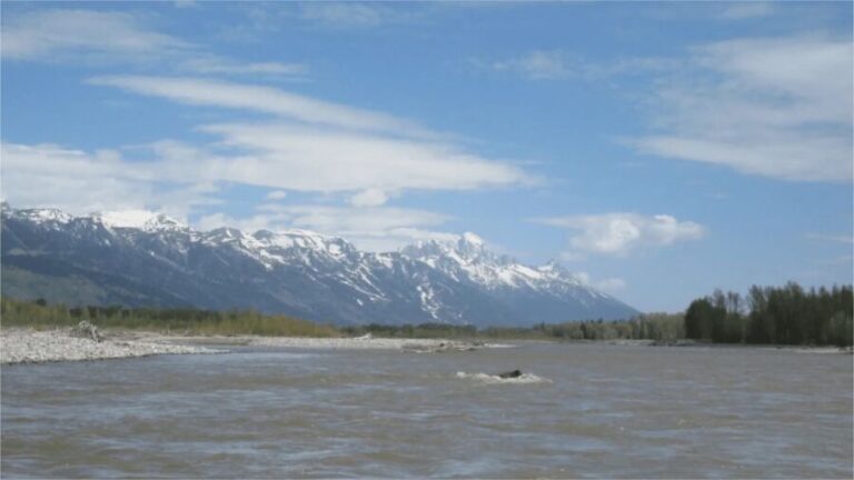 From Jackson Hole: Snake River Float with Scenic Teton Views - Who Will Love This Experience?