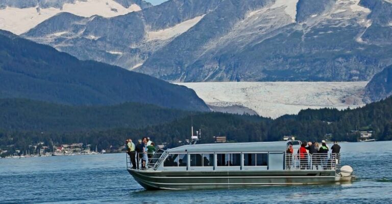 From Juneau: Whale Watching Cruise with Snacks - Wildlife You Can Expect to See