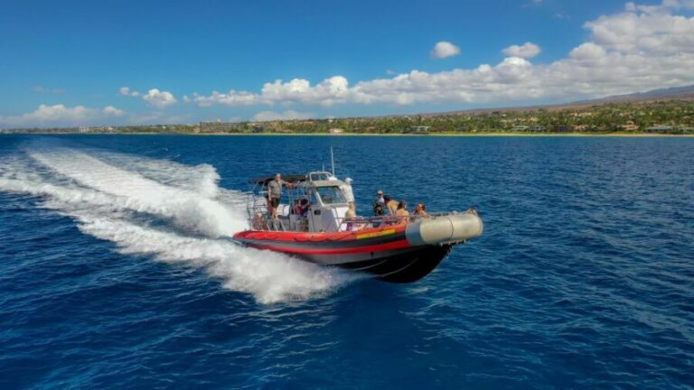 From Kihei: Molokini Snorkel 2-Hour Adventure - What to Expect from the Trip