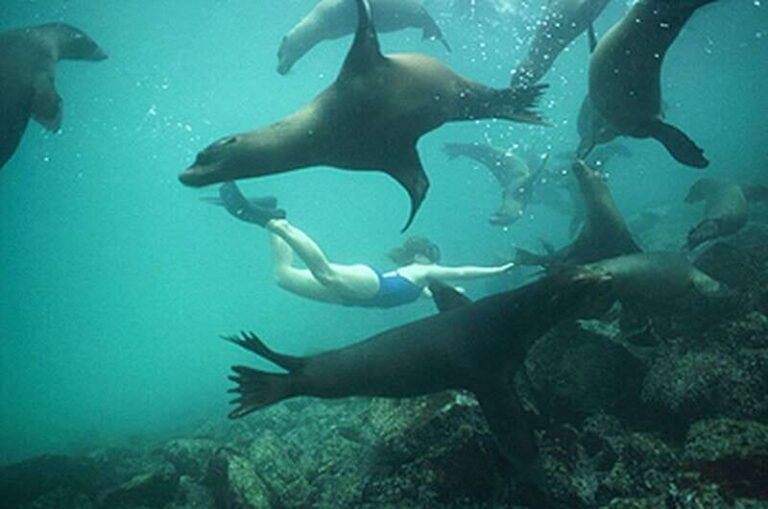 From La Paz: Swim with Sea Lions & Espíritu Santo Boat Tour - The Value and Practicalities