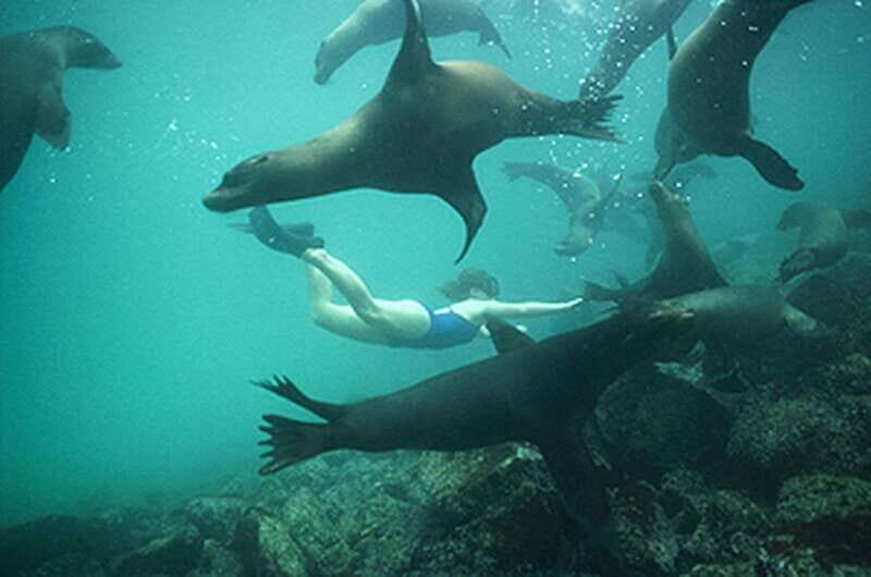 From La Paz: Swim with Sea Lions & Espíritu Santo Boat Tour - The Value and Practicalities