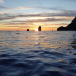 From Lipari: Boat Tour to Salina with Stops - The Value of this Tour
