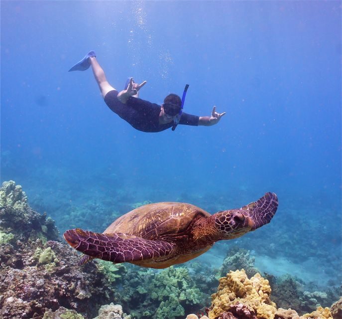 From Ma'alaea: AM Turtle Town Snorkel Aboard Quicksilver - Who Will Love This Tour?