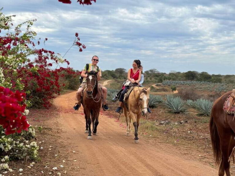 From Mazatlan: ATV & Horse Back riding with Tequila Tasting - The Itinerary in Detail