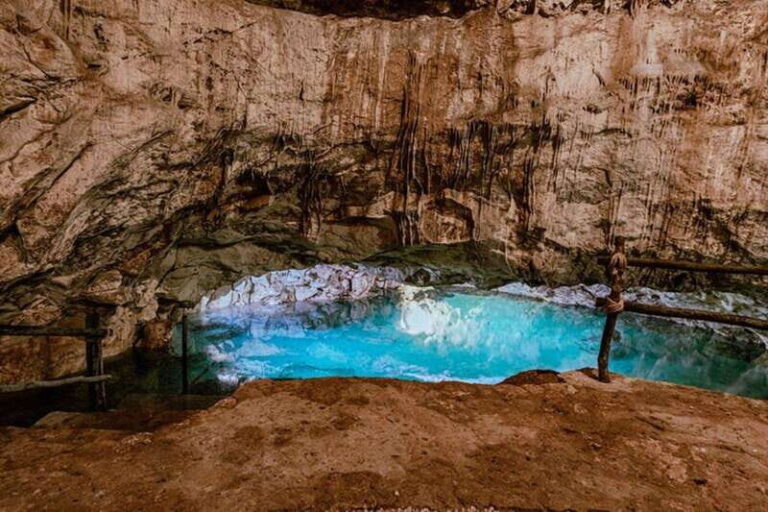 From Merida: Explore all the Cenotes of Homun Day Trip - What Makes This Tour Stand Out
