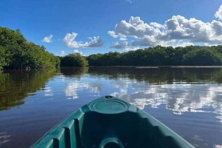 From Mérida: Full-Day Sisal Kayaking Tour with Lunch - The Experience in Detail