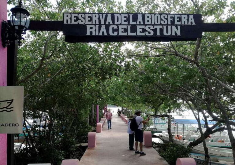 From Mérida: Ria Celestun Biosphere Reserve Tour - What to Expect on the Tour