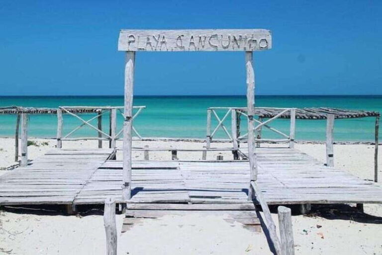 From Mérida: Ria Lagartos, Coloradas, & Cancunito Beach Tour - In The Sum Up
