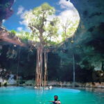 From Mérida: Tour 4 wonderful cenotes, All inclusive - Who Will Love This Tour?